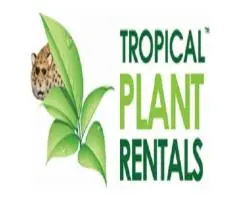 Tropical Plant Rentals