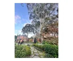 Affordable Residential Tree Removal | Safe & Professional Service