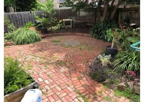 Best Exterior House Washing Service in Darwin, NT - 3/4