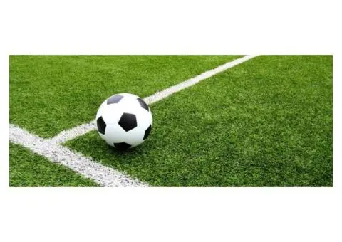 Artificial Grass Cost Perth Best Offers Available