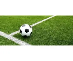 Artificial Grass Cost Perth Best Offers Available