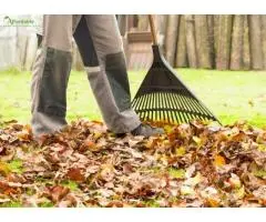 Freshen Up Your Home with Expert Spring Cleaning in Parramatta