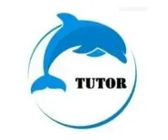 Experienced English / Math / IT tutor (english, cantonese, mandarin speaking )