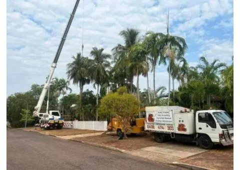 Tree Removal Darwin