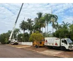 Tree Removal Darwin