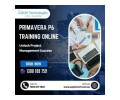 Primavera P6 Training Online