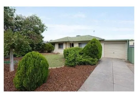 Find Custom Services With the Best Real Estate Agent in Ridgehaven