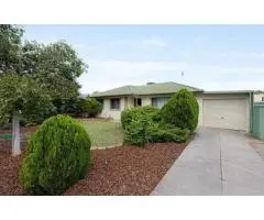 Find Custom Services With the Best Real Estate Agent in Ridgehaven