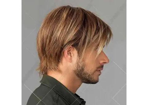 Ombre Blonde Brown Short Straight Layered Hair for Male Wigs - 2/3