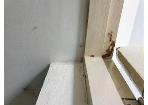 Thorough Building Inspections in Truganina