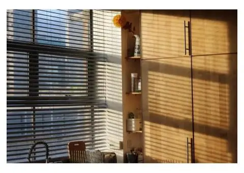 Stylish Venetian Blinds for Sutherland Shire Homes