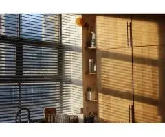 Stylish Venetian Blinds for Sutherland Shire Homes