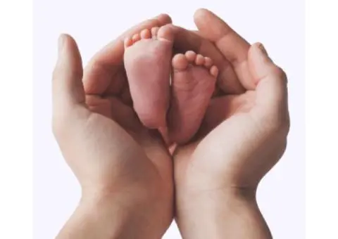 Trusted Egg Donation NSW | Central Egg Bank – Start Your Journey Today