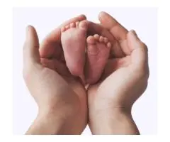 Trusted Egg Donation NSW | Central Egg Bank – Start Your Journey Today