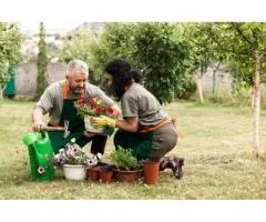 Vegetable Gardening in Brisbane Made Simple