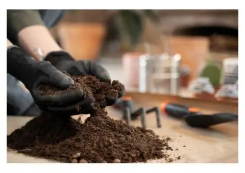 Soil Testing That Saves Time and Money