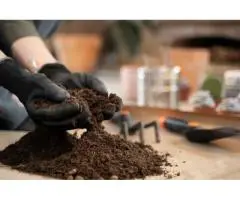 Soil Testing That Saves Time and Money