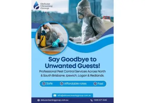 Professional Carpet Steam Cleaning Services for Homes & Offices - 2/3