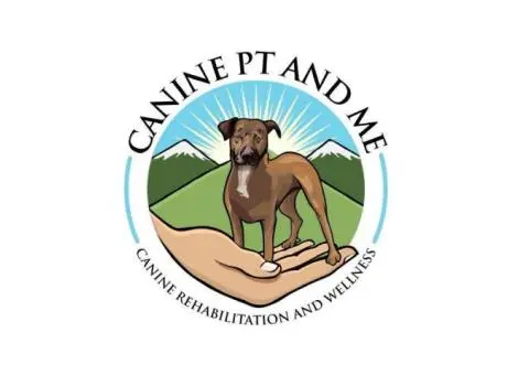 Dog Physical Therapist