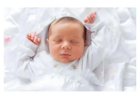 Milari Organics – Best Cot Mattress Provider in Australia? - 1/3