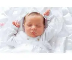 Milari Organics – Best Cot Mattress Provider in Australia?