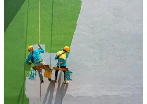 Professional Office Painting Services Brisbane – Boost Your Workspace Appeal! - 2/4