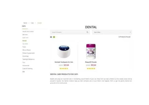 Best Cat Dental Care – Protect Your Cat’s Teeth & Gums