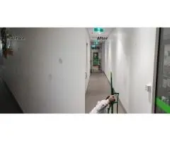 Don’t Risk a Bad Paint Job – Hire Expert Painters in Balwyn