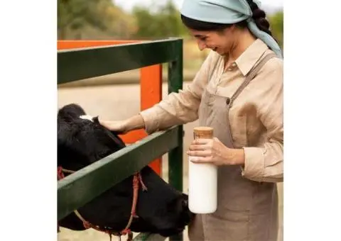 Profitable Dairy Farm Investment Opportunity in Australia