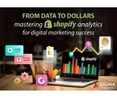 FROM DATA TO DOLLARS MASTERING SHOPIFY ANALYTICS FOR DIGITAL MARKETING SUCCESS