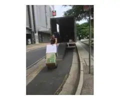 Gold Coast’s #1 Furniture Movers – Why Locals Choose Cunningham Removals