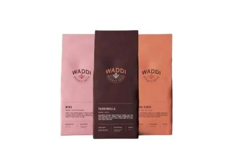 Fresh Coffee Beans Brisbane Delivered Daily