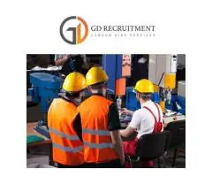 Professional Labour Hire Services | Trusted Labour Hire Agency in Australia - GD Recruitment