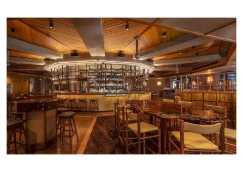 Transform Interiors with Venetian Plaster Adelaide Experts