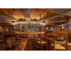 Transform Interiors with Venetian Plaster Adelaide Experts