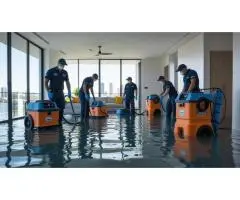 Sydney Water Damage Restoration Experts – Flood Cleanup & Repairs