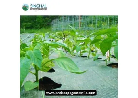 How Weed Mats Improve Soil Health and Reduce Maintenance Effort
