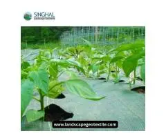 How Weed Mats Improve Soil Health and Reduce Maintenance Effort