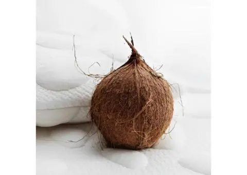 Coconut Coir in Baby Cot Mattresses- Buy now - 1/3