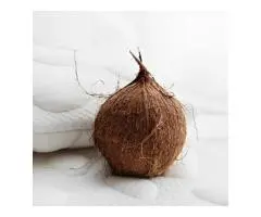 Coconut Coir in Baby Cot Mattresses- Buy now