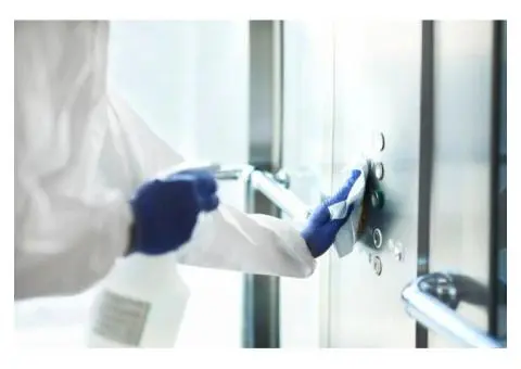 Move-Out Cleaning Brisbane – Black & White Home Services