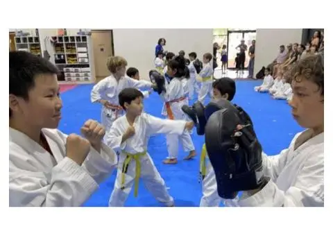 Give Your Child a Head Start with Kids Karate Classes at AMAF