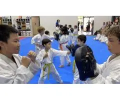 Give Your Child a Head Start with Kids Karate Classes at AMAF