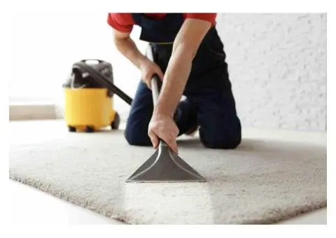 Professional Carpet Cleaning Services in Werribee - Emergency Carpet Cleaning