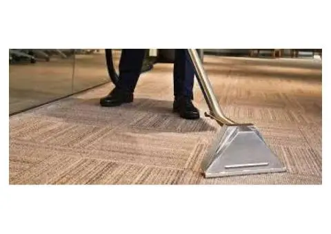 Trusted Carpet Cleaners in Sunshine Coast for Spotless Results