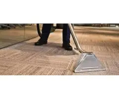 Trusted Carpet Cleaners in Sunshine Coast for Spotless Results