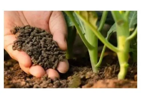 Hire Professional Lawn Mowing Services in Brighton East