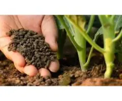 Hire Professional Lawn Mowing Services in Brighton East