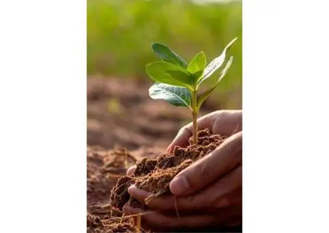 Grow Green with Soil Dynamics: Leading Organic Fertilisers Australia