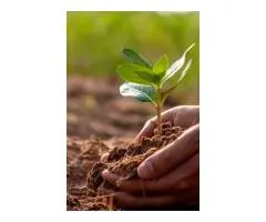 Grow Green with Soil Dynamics: Leading Organic Fertilisers Australia